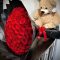 red rose and teddy combo Kenya,romantic flower and teddy gift,large red rose bouquet Nairobi,hand-tied rose arrangement with bear,teddy and rose delivery Kenya,luxury romantic gift set