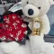 Teddy bear and red rose bouquet gift set with chocolates in Nairobi Kenya.