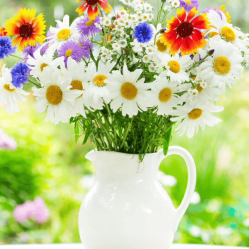 local florists Kenya,buy flowers Nairobi,support Kenyan flower farmers