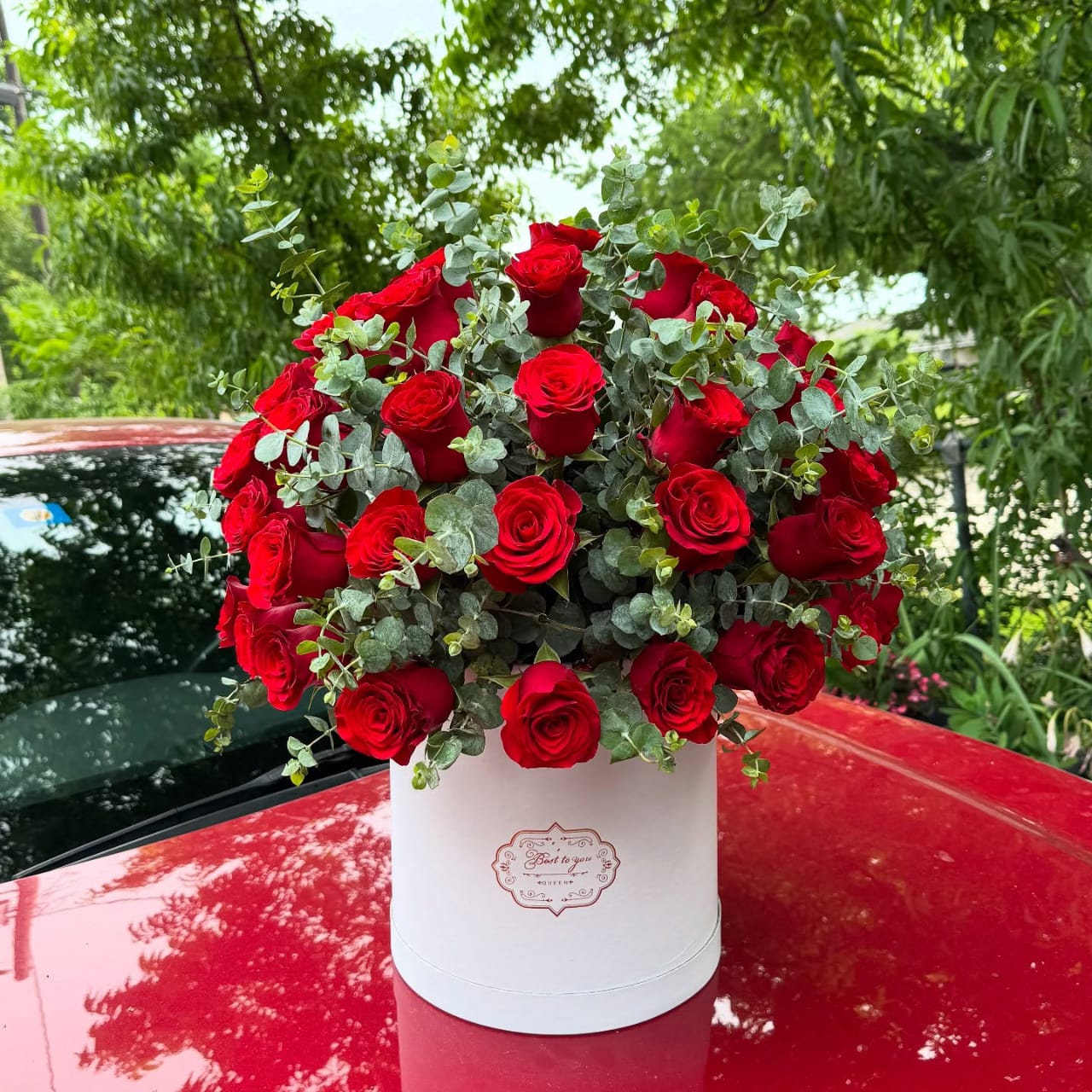 crimson elegance rose box